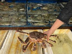 -岳各庄批发市场(西四环中路店)