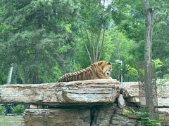 -秦皇岛野生动物园