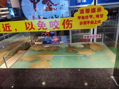 -洪湘记川湘·甲鱼馆(四海凯悦美食广场店)