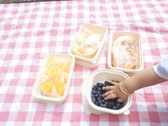 -菊园百果园