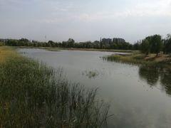 -乌素图国家森林公园