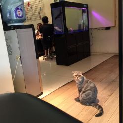 点击看大图 狗狗-AC TATTOO 纹身