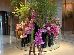 -浅深Cheersum(曹杨店)