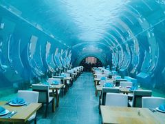 -海棠湾洲际-涛·海底餐厅·美人鱼·自助餐·海底隧道