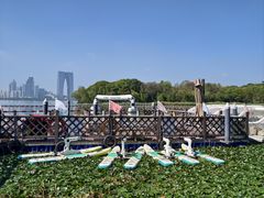-金鸡湖桃花岛