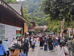 -野象谷景区