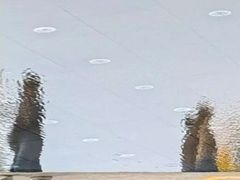 -浦江城市生活广场(江月路店)