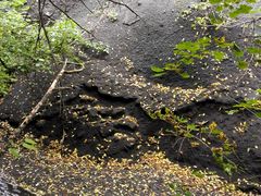 -峡谷浮石林景区