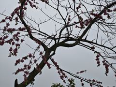 -英西峰林·洞天仙境