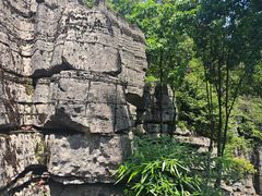 -梭布垭石林景区