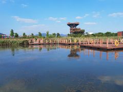 -芒洲湿地公园