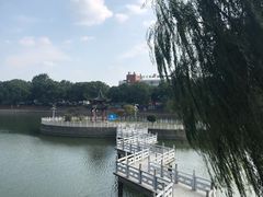 -葛仙湖公园
