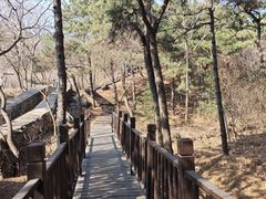 -北京十三陵国家森林公园蟒山景区