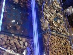 -哈尔信食品超市(哈尔滨王府井购物中心店)