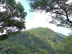 -梧桐山风景名胜区