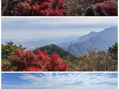 -含鄱口