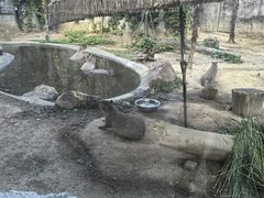 -武汉动物园