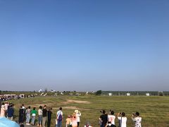-盐城丹顶鹤湿地生态旅游区