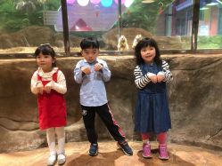 -宝燕乐园(闵行旗舰店)