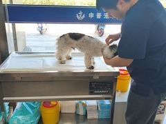 -申普宠物医院·眼科·心内科·影像科(普陀分院)