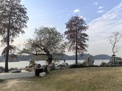 -东湖落雁景区