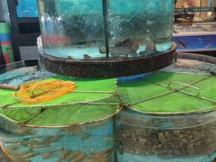 -万禧明珠大酒楼(海丰店)