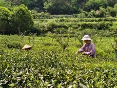 -浮山风景名胜区