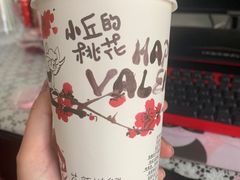 -茶颜悦色(花样汇店)
