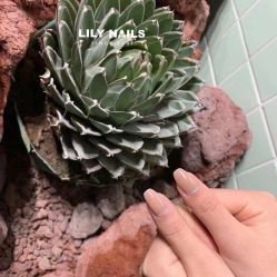 -LILY NAILS美甲美睫