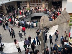 -自贡恐龙博物馆