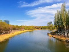 -大兴滨河森林公园