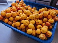 -启博美食城(孟家店)