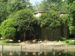 -西安秦岭野生动物园