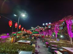 -枇杷园食为鲜火锅(南山店)
