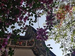 -深圳国际园林花卉博览园