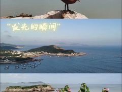 -东极岛景区