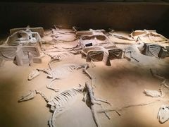 -洛阳周王城天子驾六博物馆