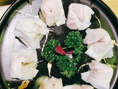 顺德鱼皮饺-顺德公广东猪肚鸡·煲仔饭(白石洲店)