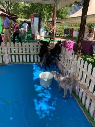 -萌宠亲子动物乐园(槐房万达店)