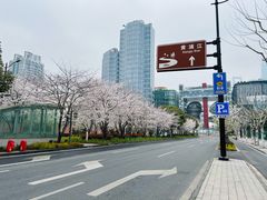 -北外滩滨江绿地