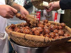 糖油果子-邓记新一代糖油果子(四川煤管局供销公司职工宿舍店)