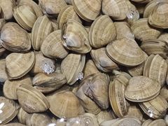 -连鹭海鲜·海肠捞饭·海胆饭(星海店)