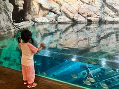 -上海海洋水族馆-停车场