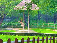 -深圳野生动物园