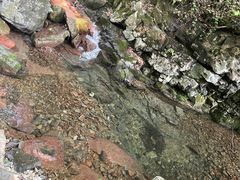 -本溪汤沟绿石谷森林公园