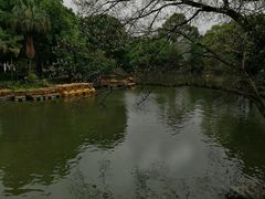 -柳侯公园