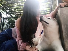 -TrueLove @ Neverland (Husky Cafe)
