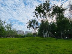 -回龙观体育文化公园
