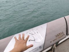 -星光大道