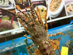 -粤盛海鲜平价店(洛溪食街店)